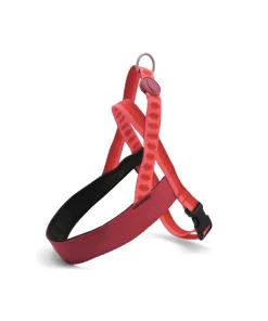 MORSO CANE PETTORINA NORVEGESE LIPSTICK MEDIUM